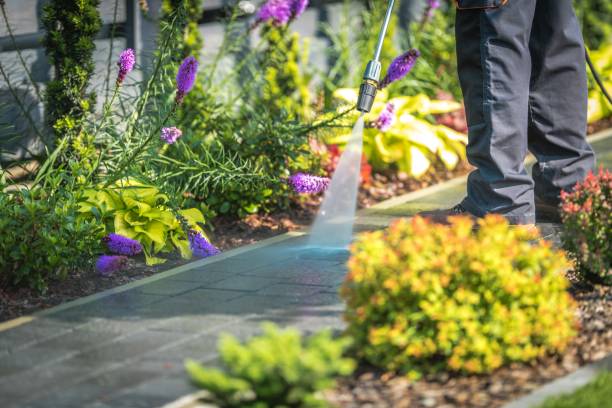 Best Fence Cleaning  in North Ballston Spa, NY