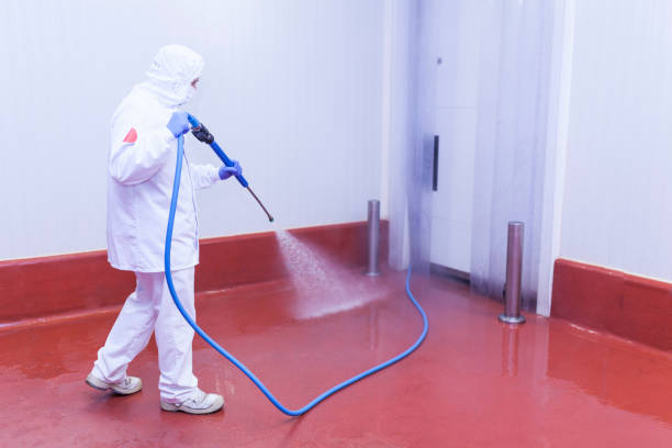 Best Sidewalk and Walkway Cleaning  in North Ballston Spa, NY